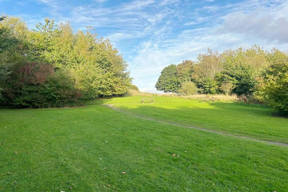 7.7 acres of Amenity Land for auction in Stirling and Strathallan