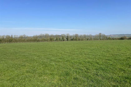28.4 acres of Agricultural Land for sale in Leigh