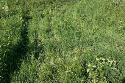 Vacant Land for sale in Whittlesey