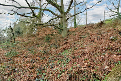 Development Land for sale in Church Stretton