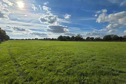 Cheap Land for auction in Chalvington with Ripe