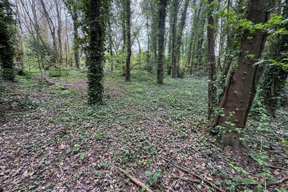 1.7 acres of Woodland for sale in Tilmanstone