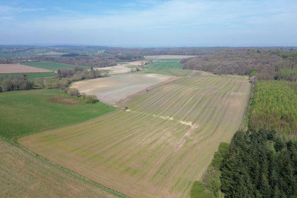 32.5 acres of Agricultural Land for sale in Terrington