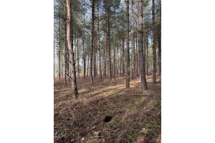 3.3 acres of For sale in Norfolk