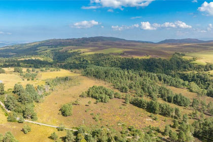 41.7 acres of Undeveloped Land for sale in Caithness, Sutherland and Easter Ross