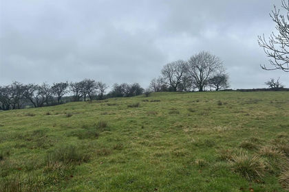 4.3 acres of Agricultural Land for sale in Waterhouses