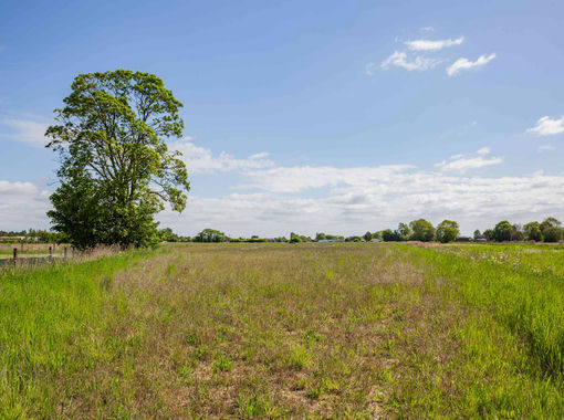 3 acres of Vacant Land for sale in Old Leake