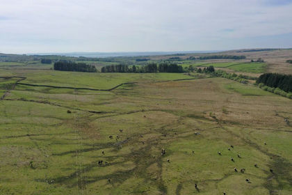 408.2 acres of Agricultural Land for sale in Dumfries and Galloway