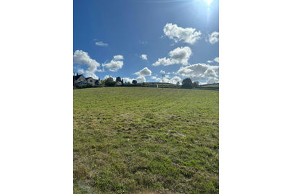 Grazing Land for sale in Old Cleeve
