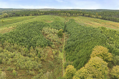 123.6 acres of Agricultural Land for sale in Colwich