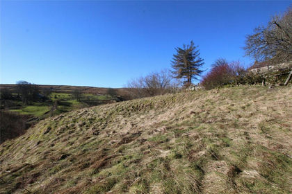 Land for sale in Stanhope