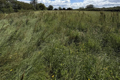 2.2 acres of Agricultural Land for sale in Mark