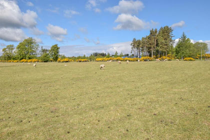 26 acres of Grazing Land for sale in Caithness, Sutherland and Easter Ross