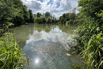 2.2 acres of Recreational Land for sale in Whatlington