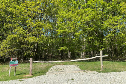 4.3 acres of Woodland for sale in