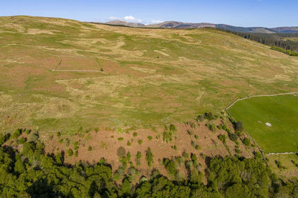413.8 acres of Farmland for sale in Dumfriesshire, Clydesdale and Tweeddale