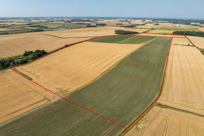 117 acres of Agricultural Land for sale in Manton
