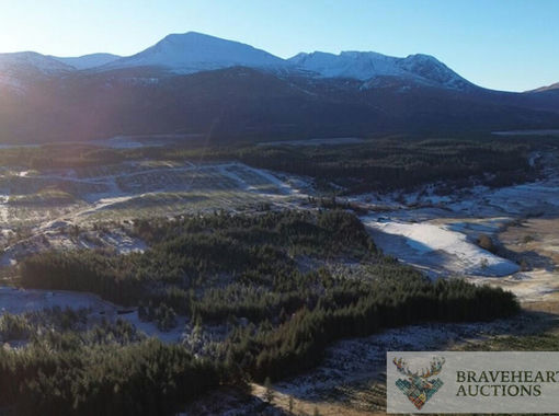 Small Plot of Land for sale in Inverness, Skye and West Ross-shire
