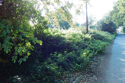 Amenity Land for sale in Sculthorpe