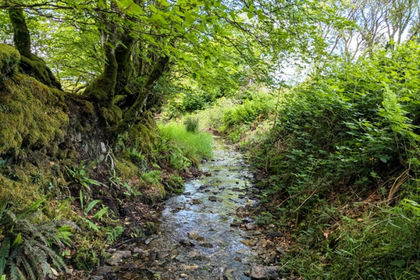 5 acres of Woodland for sale in