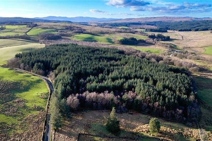 18 acres of Agricultural Land for sale in Dumfries and Galloway