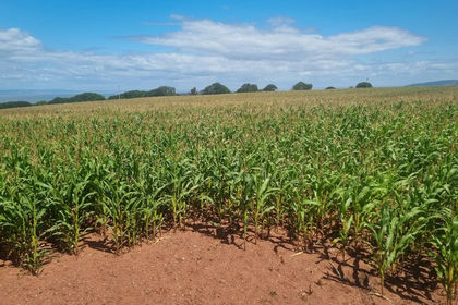 18.7 acres of Arable Land for sale in Minehead
