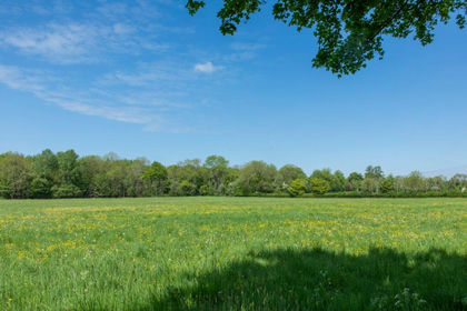 70.5 acres of Farmland for sale in Barnsley