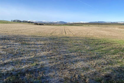 6.7 acres of Agricultural Land for sale in Perth and Kinross-shire