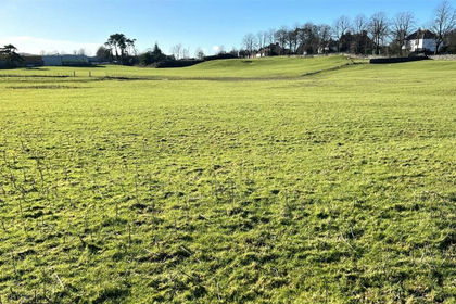 17.8 acres of Agricultural Land for sale in Dumfries and Galloway