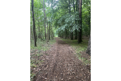 6.5 acres of For sale in Lincolnshire