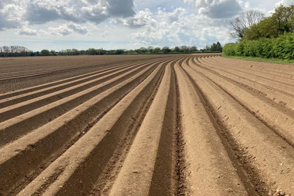 60.6 acres of Agricultural Land for sale in Ardleigh