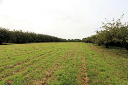 3.5 acres of Agricultural Land for sale in Wisbech