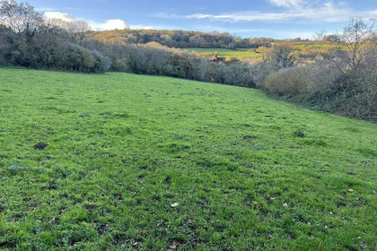 6.1 acres of Agricultural Land for sale in Christow