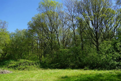 9.6 acres of Woodland for sale in Cubbington