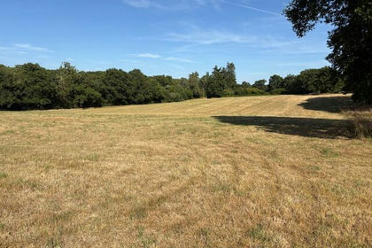 16.6 acres of Agricultural Land for sale in Bramshott and Liphook