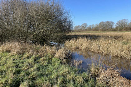 2.8 acres of For sale in Sussex