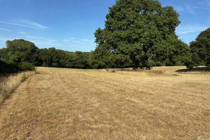 16.6 acres of Agricultural Land for sale in Bramshott and Liphook