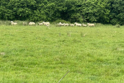 130 acres of Agricultural Land for sale in Llanedi