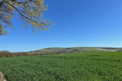 10 acres of Farm for sale in Bramber