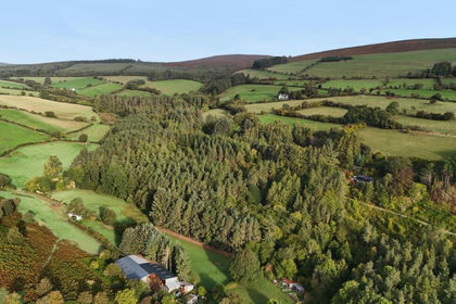 24.2 acres of Woodland for sale in Llansantffraid Glyn Ceiriog