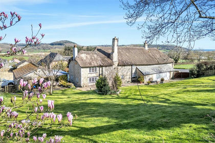 Land for sale in Seaton