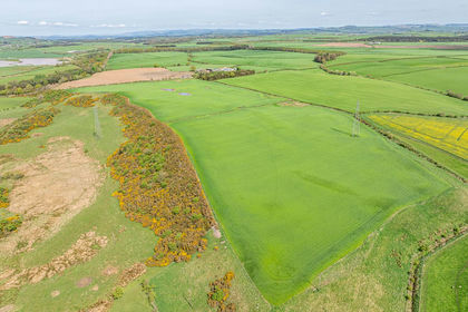 44.6 acres of Agricultural Land for sale in Dumfriesshire