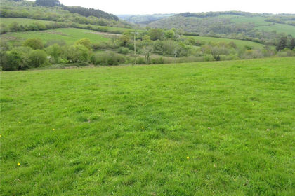 19.6 acres of Pasture for sale in Loddiswell
