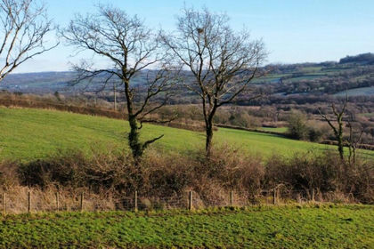 21.5 acres of Smallholding for sale in Llangyndeyrn
