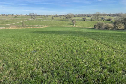 16.9 acres of Agricultural Land for sale in Ible