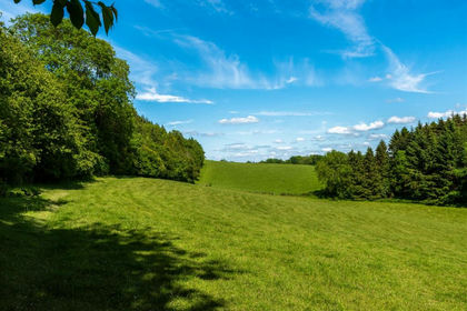 80.1 acres of Farmland for sale in Steep
