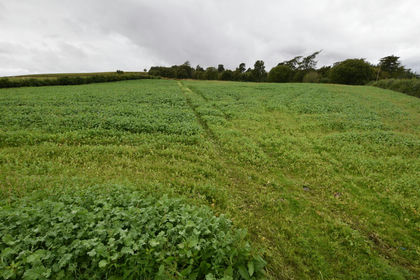 Agricultural Land for sale in Aberdeenshire North and Moray East