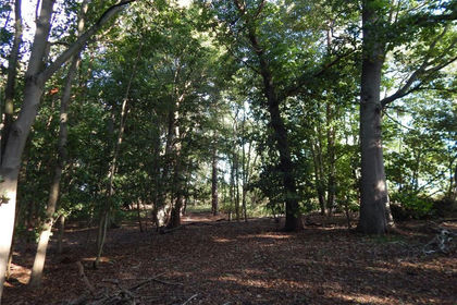 2.9 acres of Recreational Land for sale in Bergh Apton