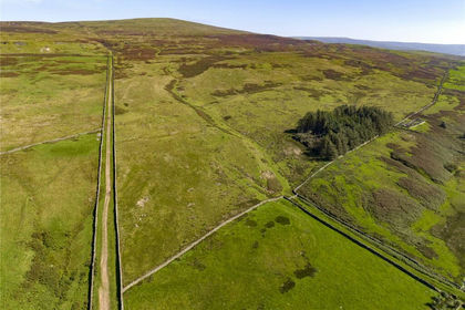 322.7 acres of Grazing Land for sale in Kirkoswald