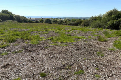 Development Land for sale in Treverbyn